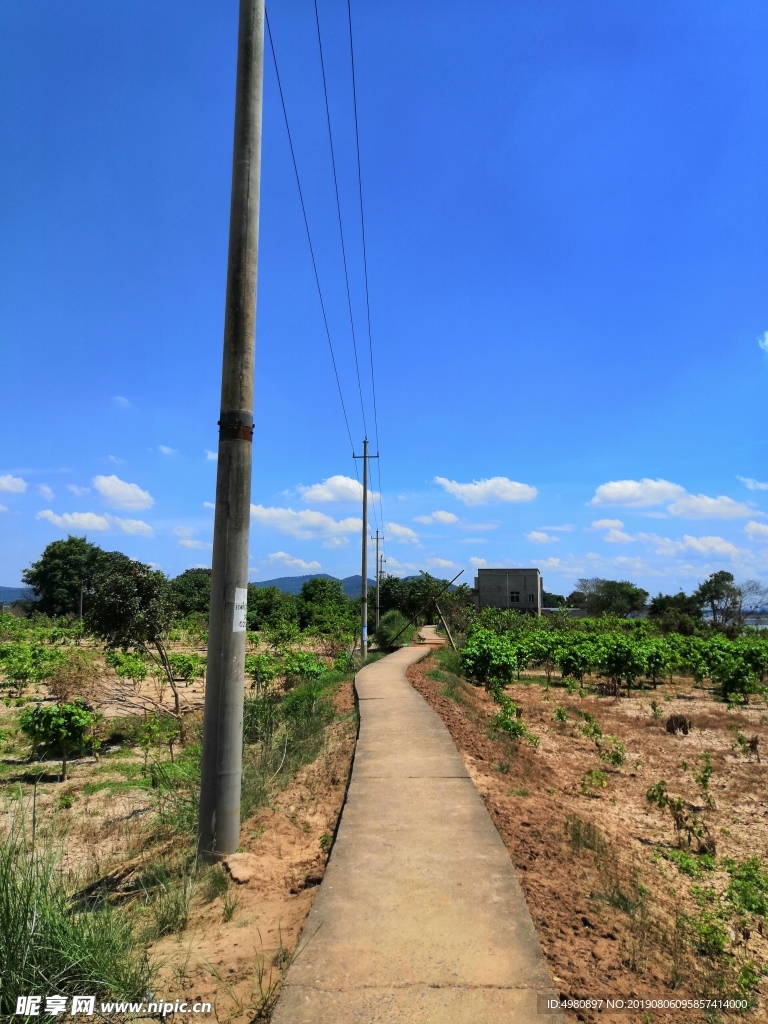 家乡小道 水泥路