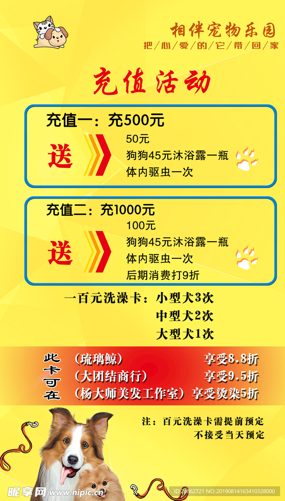 宠物店优惠充值活动