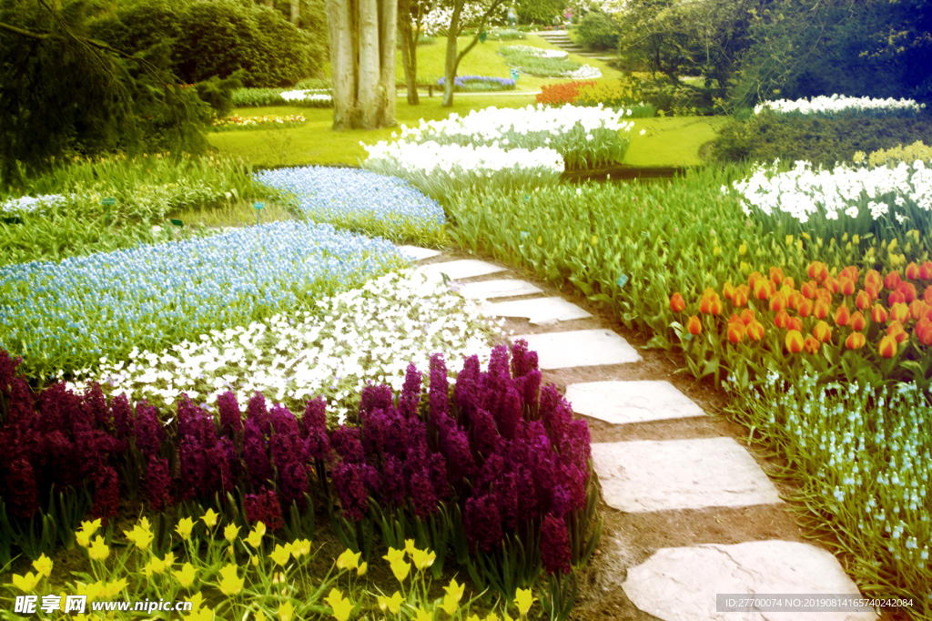 公园石头小路花朵