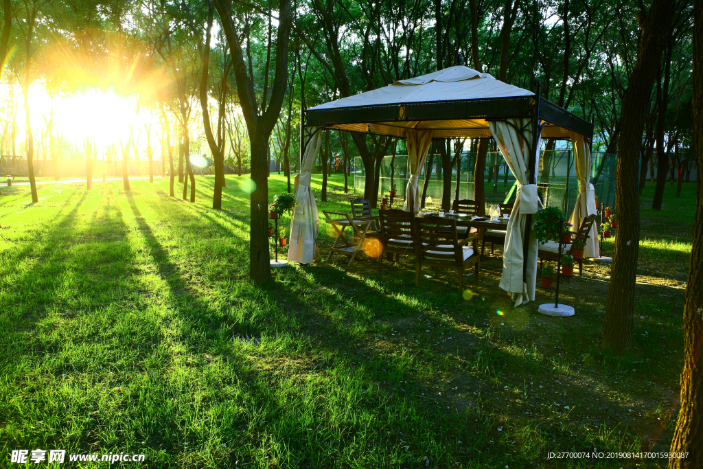 森林草地光亭子