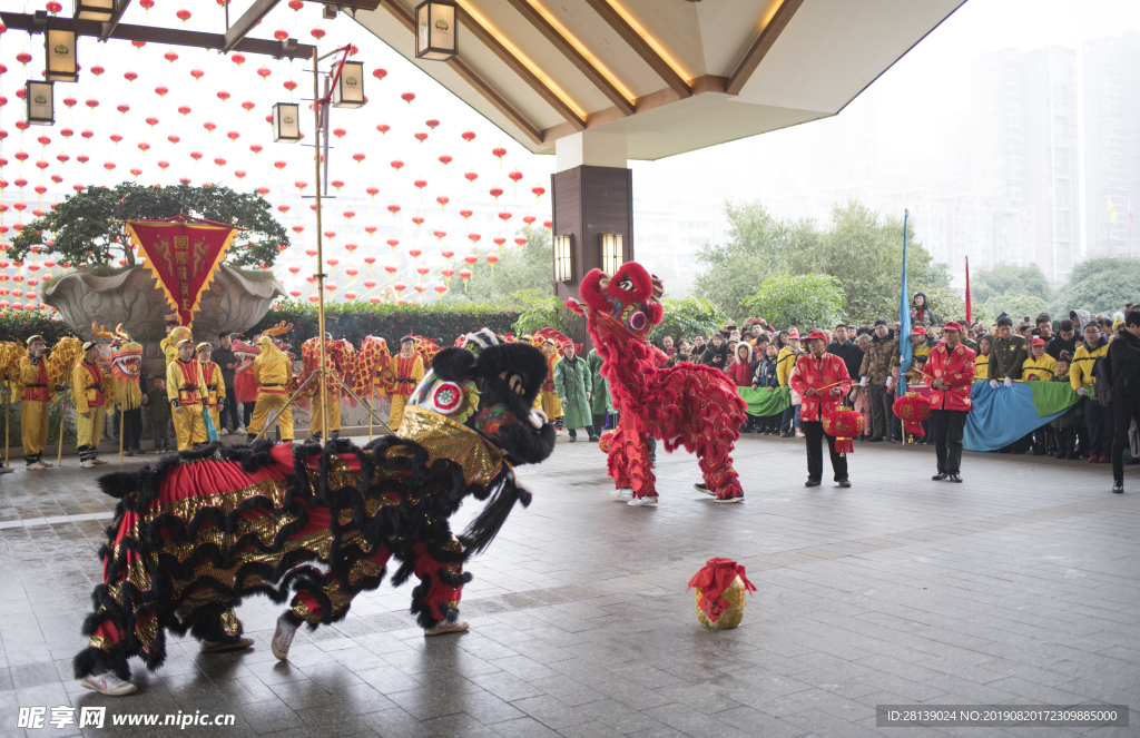 狮子 龙 节日 舞龙灯 喜庆
