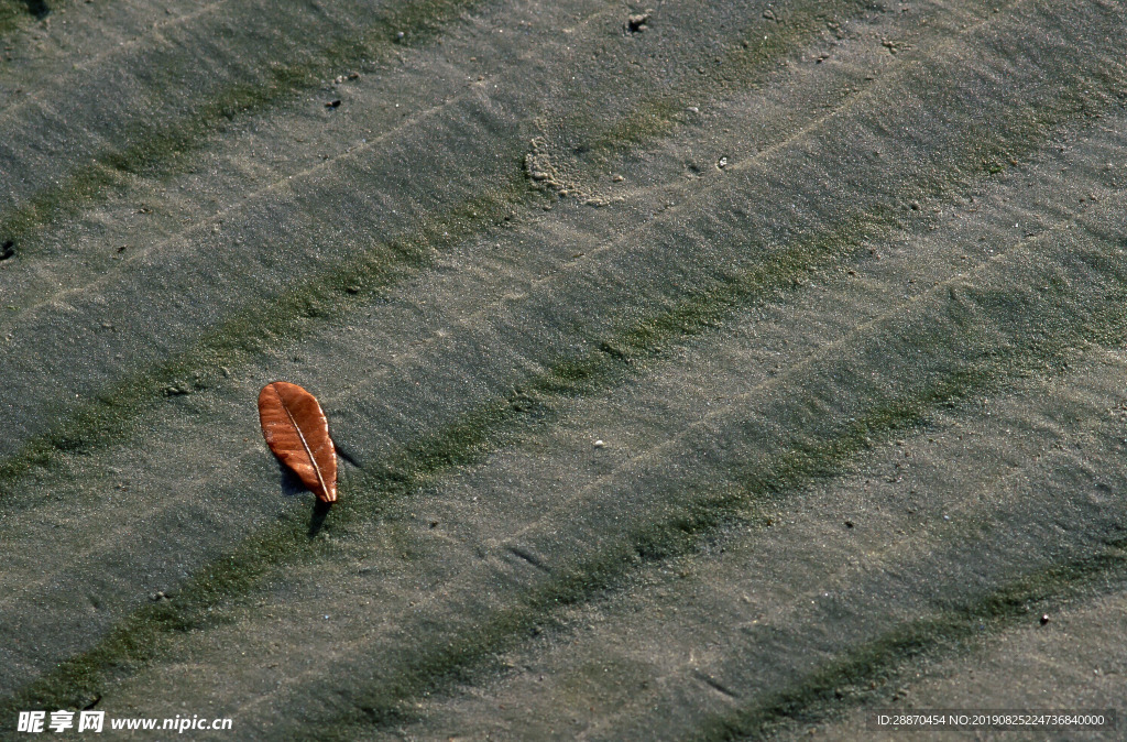 在织地抽象背景的红色金黄叶子