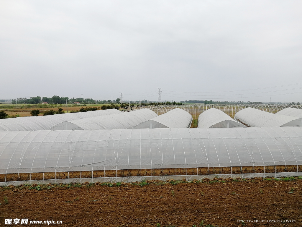 大棚 蔬菜大棚 农业