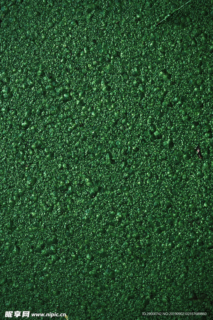 材质素材 特色纹理  底纹 绿