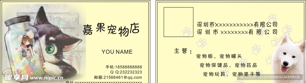 宠物猫名片
