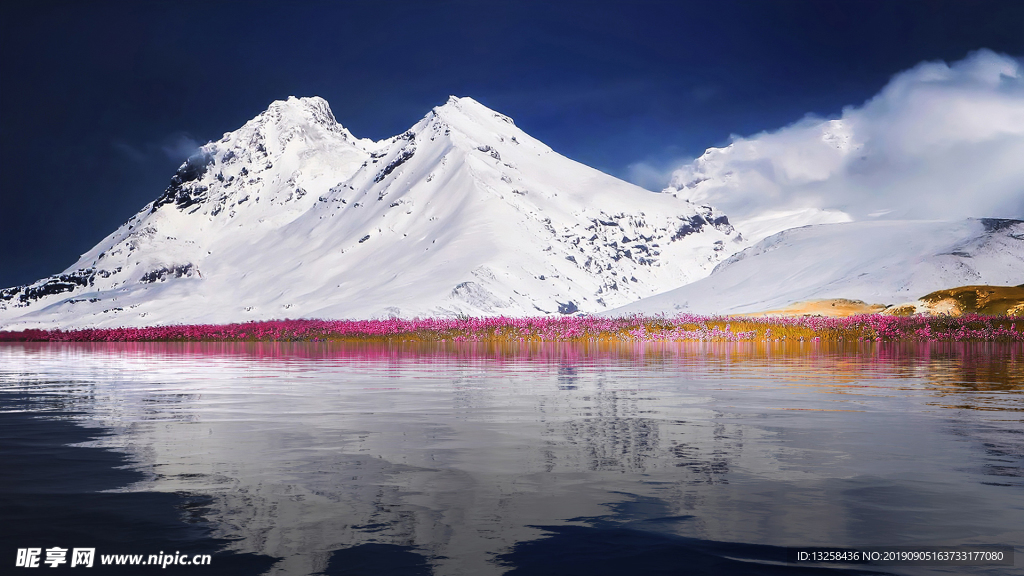 雪山花丛草地风景天空