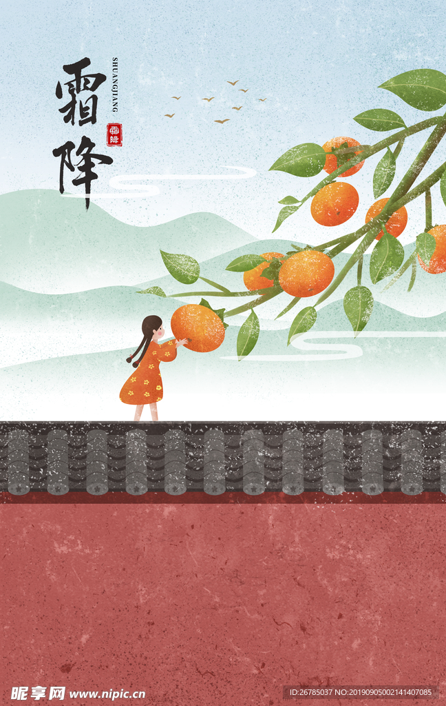 霜降节气枇杷插画