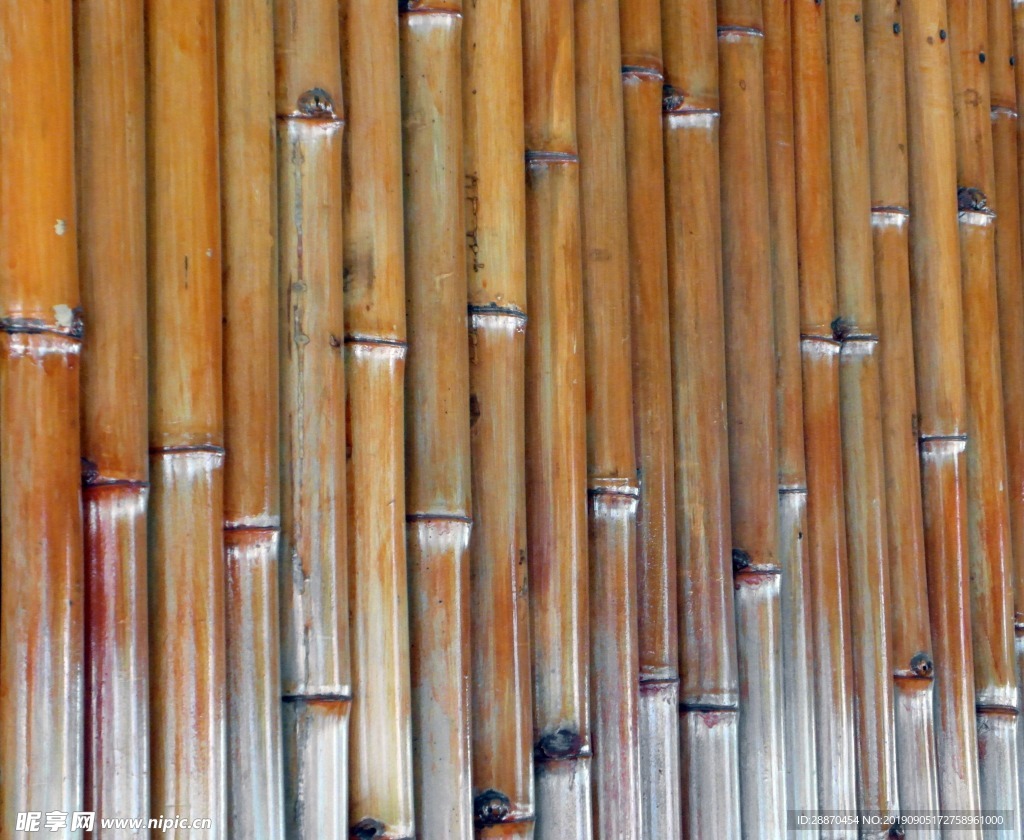 被隔绝的竹背景