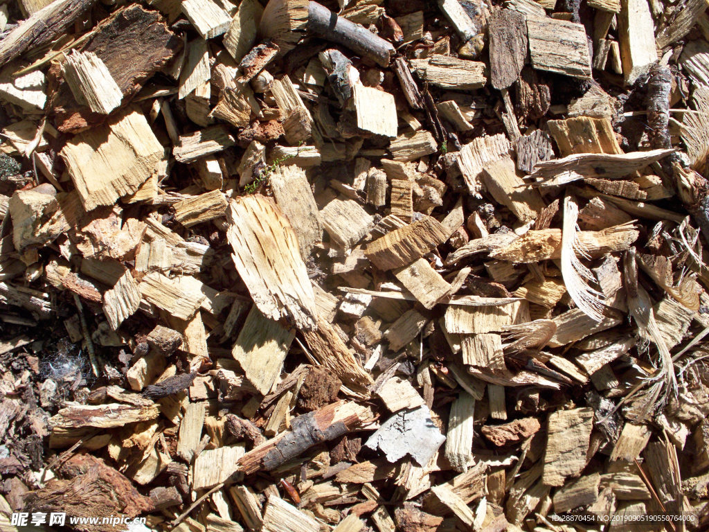 户外干燥松木片
