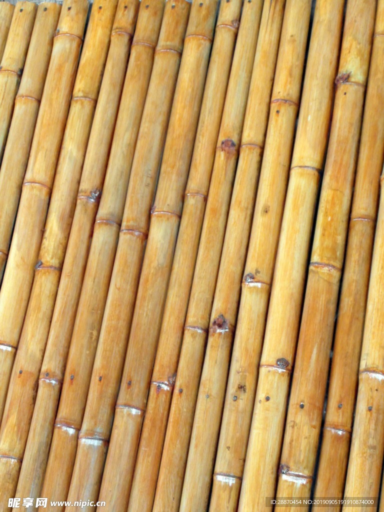 被隔绝的竹背景