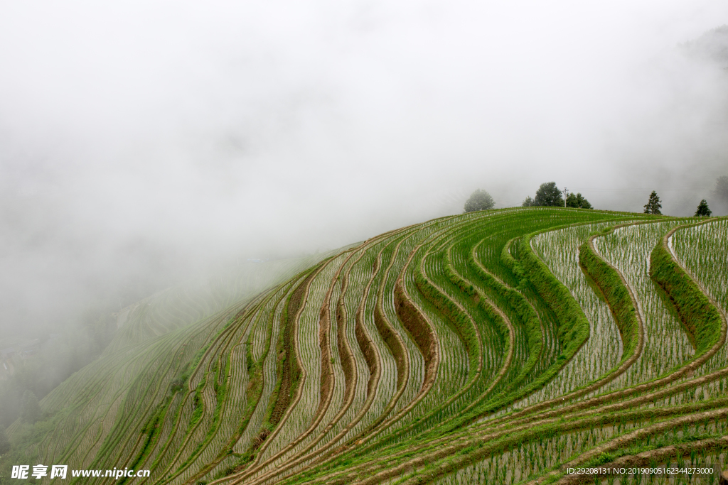 桂林金坑龙脊梯田
