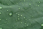 水滴绿色面料