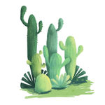 仙人掌组合小清新ins风