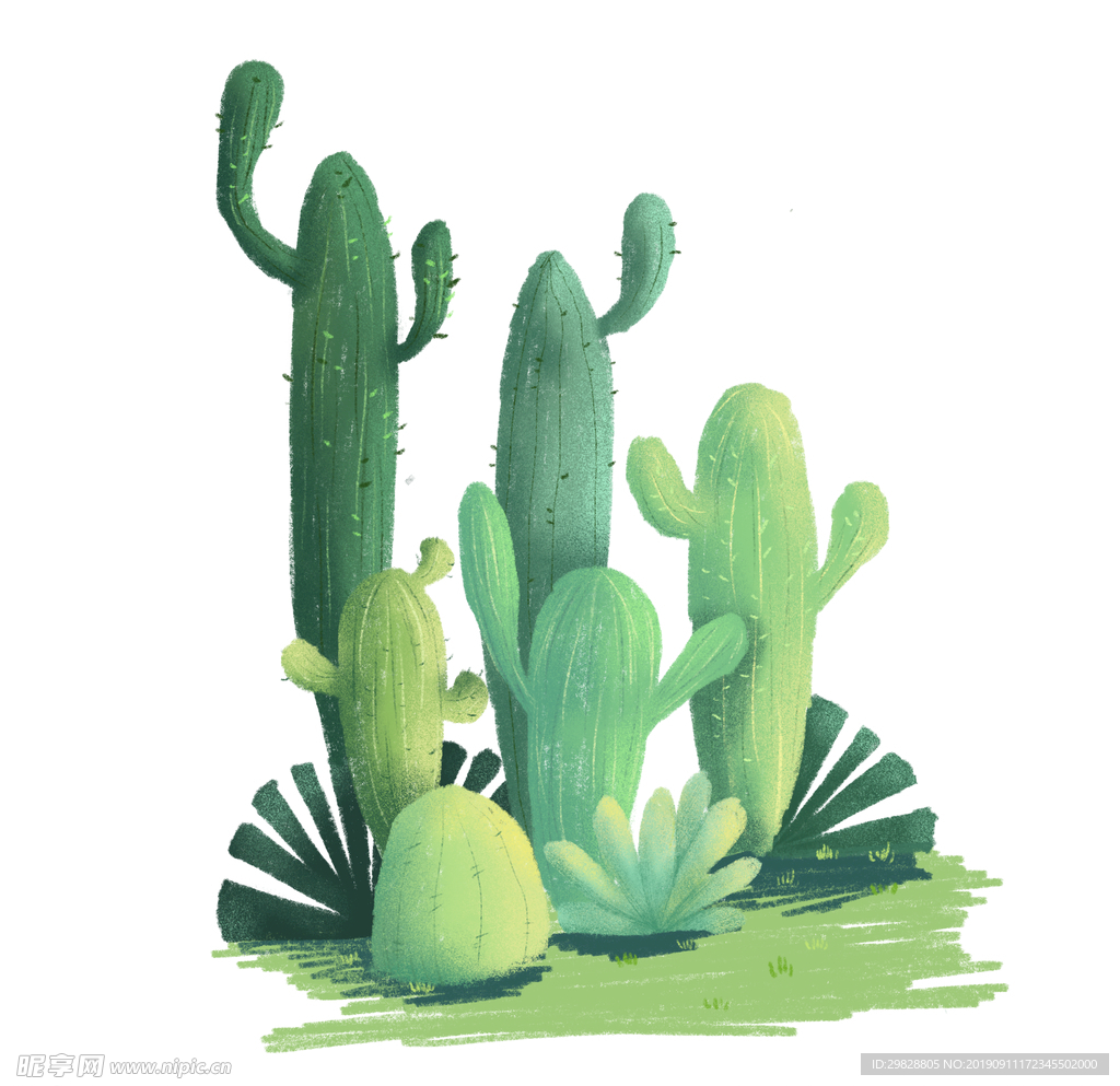 仙人掌组合小清新ins风