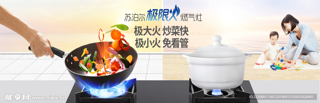 厨房电器 厨房电器 燃气灶具