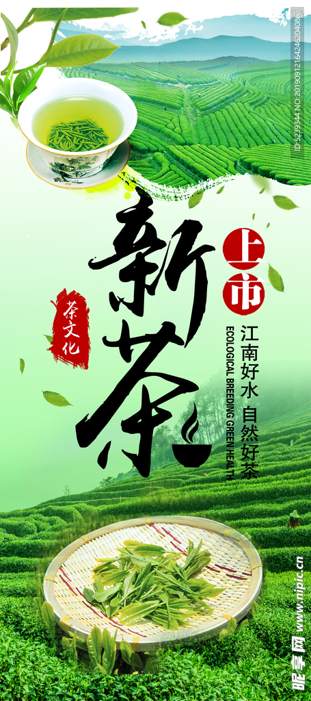 新茶上市