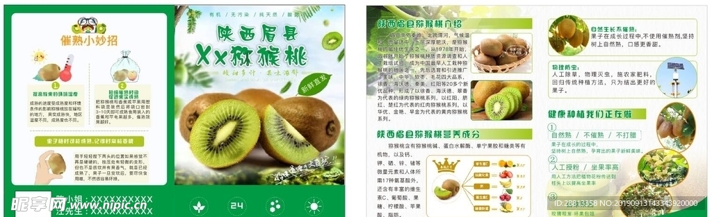 猕猴桃折页