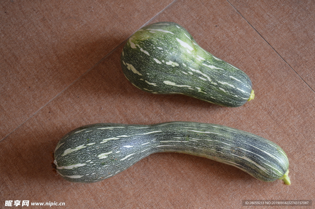 南瓜 番瓜 方瓜