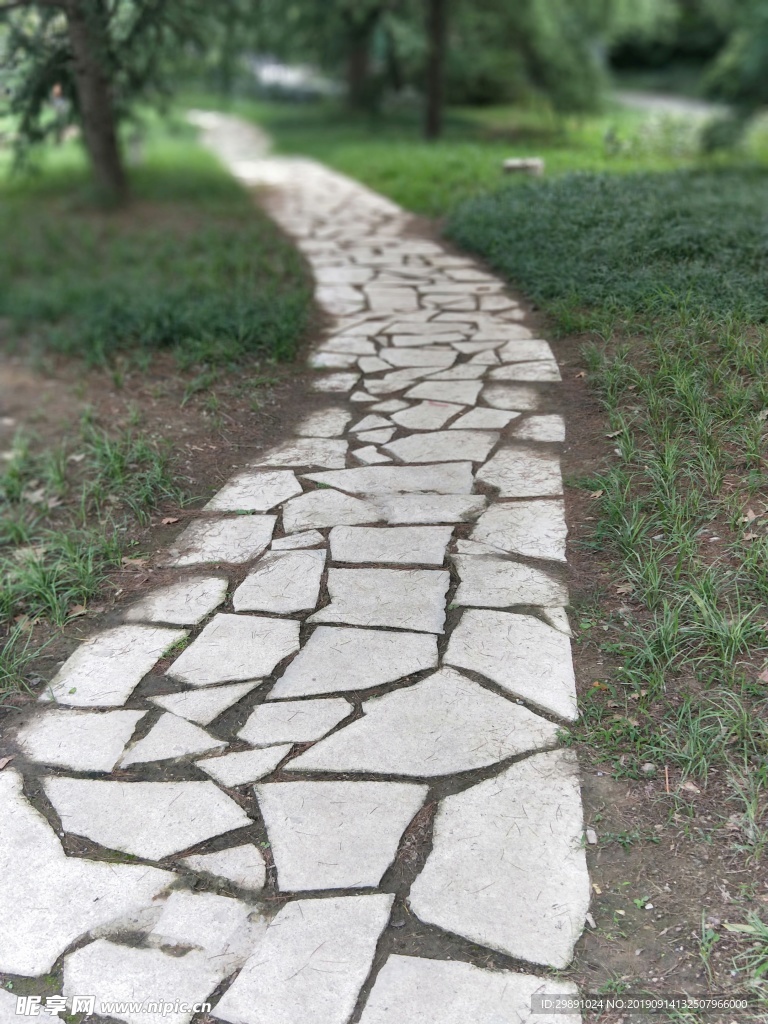 园林 树木 绿色 公园 道路