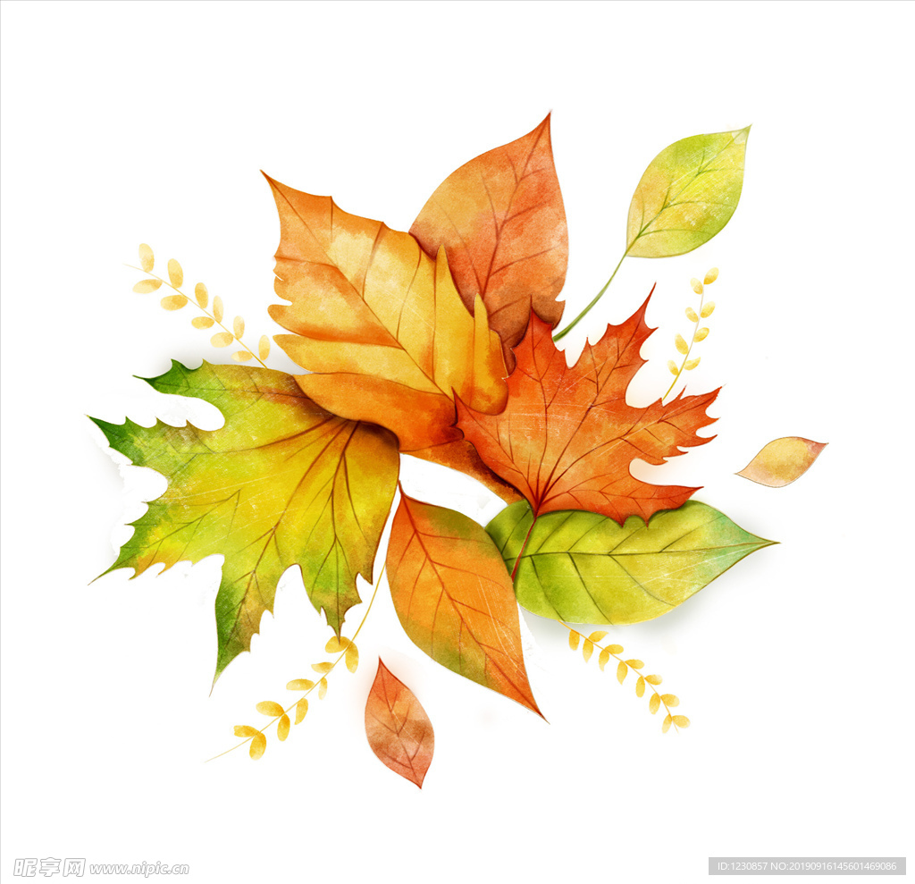 深秋立秋枫叶分层素材