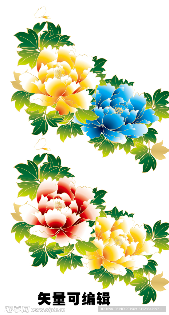 牡丹矢量 牡丹花