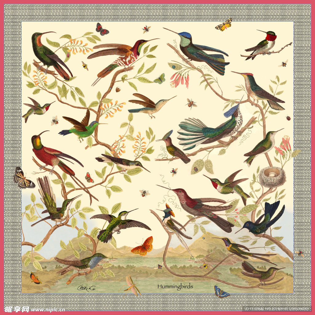 方巾 丝巾 女装图案 数码印花