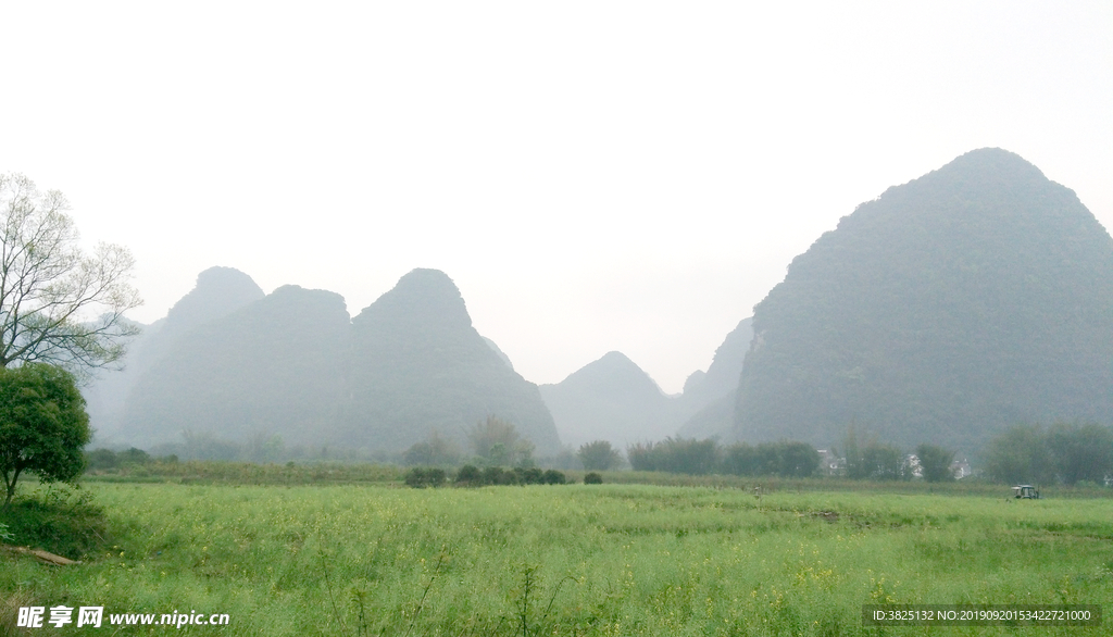 远山 山 草 绿色 树叶 风景