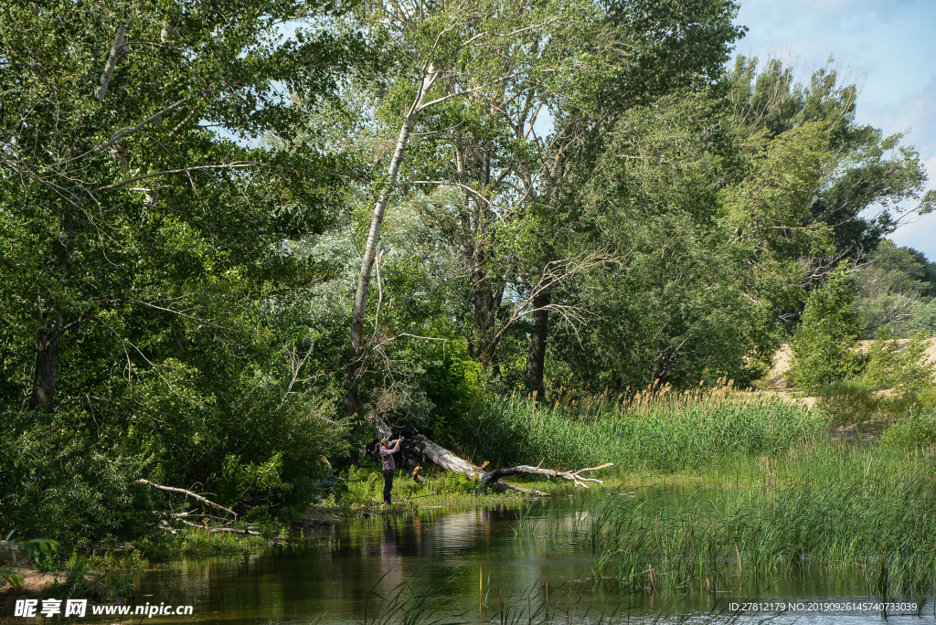 俄罗斯风景 树林 伏尔加河