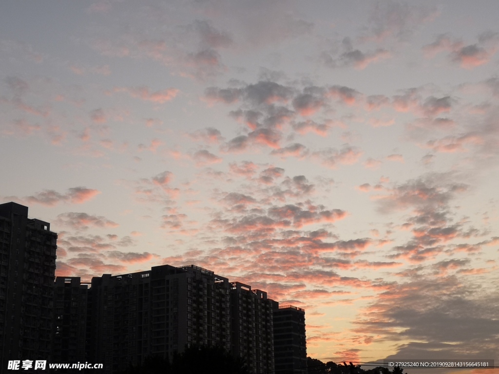 城市醉美晚霞-鱼鳞云