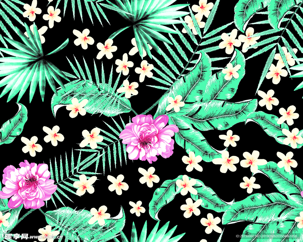 大叶花 水仙花 菊花 大红花