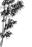 中国画水墨竹子