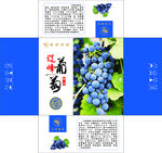 葡萄图片 辽峰葡萄