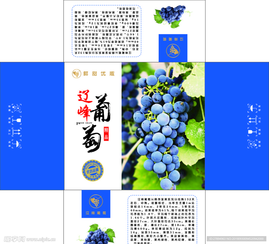 葡萄图片 辽峰葡萄