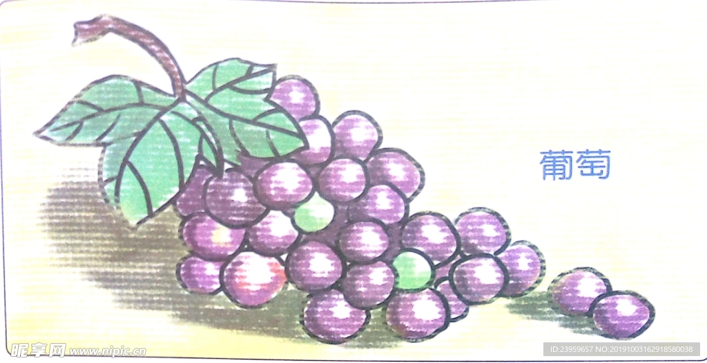葡萄