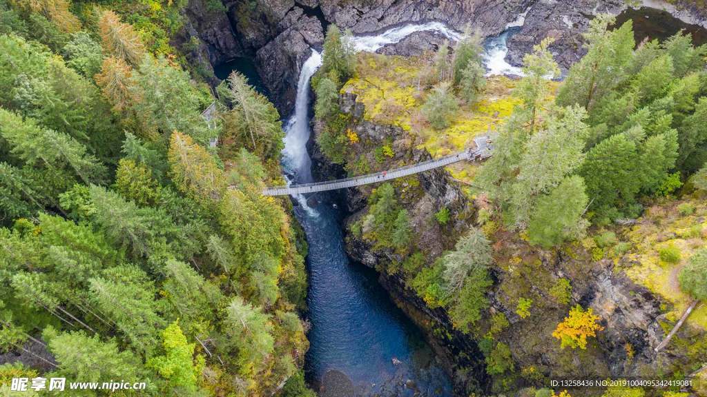 森林峡谷河流木桥风景