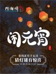 元宵节 海报 招贴 展架 展板