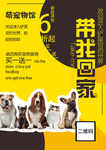 宠物店活动海报