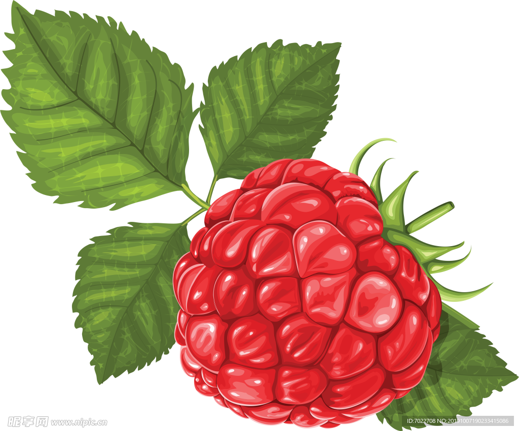 梨 梨子 新鲜水果 梨素材 水