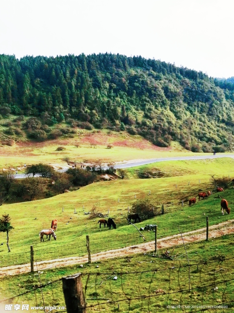 风景区  草原  草地  仙女