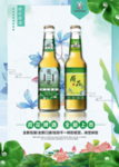 荷花啤酒  海报  广告  分
