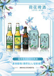 荷花啤酒