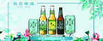 荷花啤酒  海报  广告  分