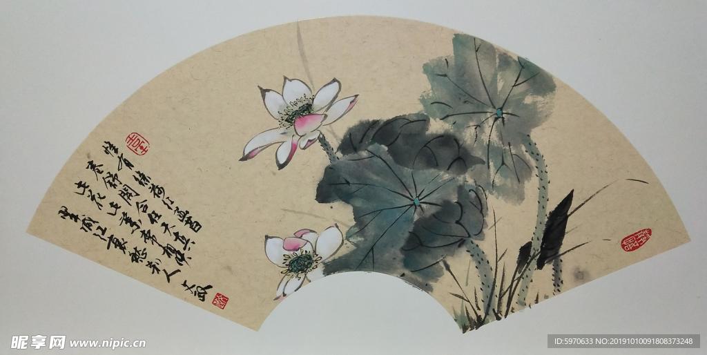 国画荷花扇面