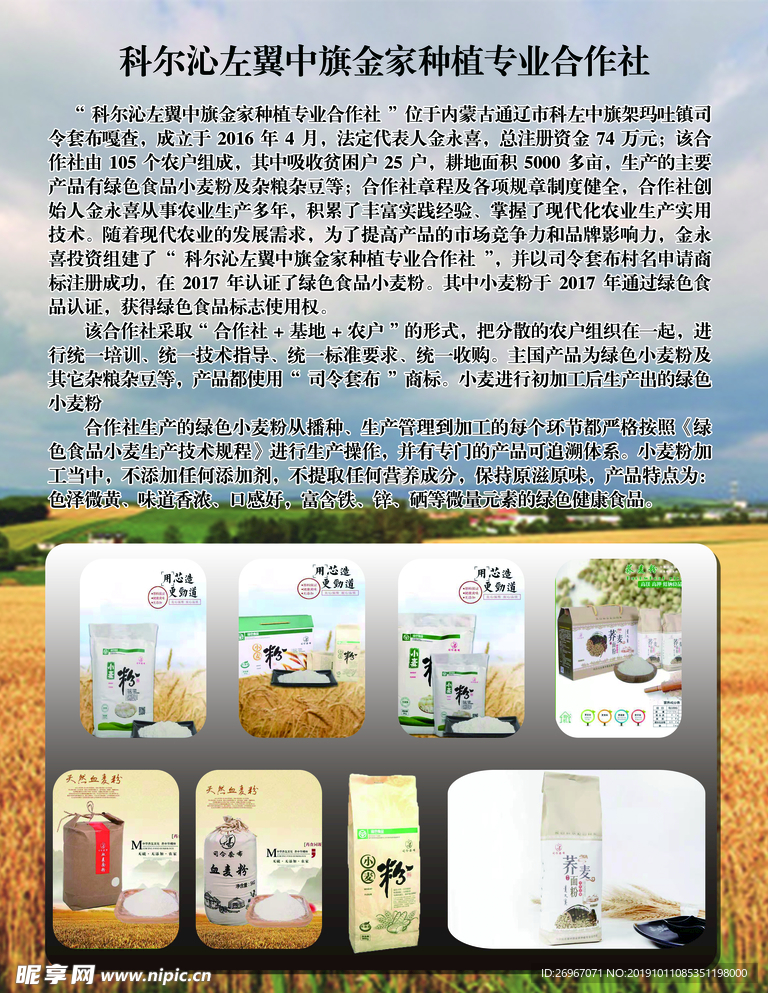 公司  简介  简洁  明了