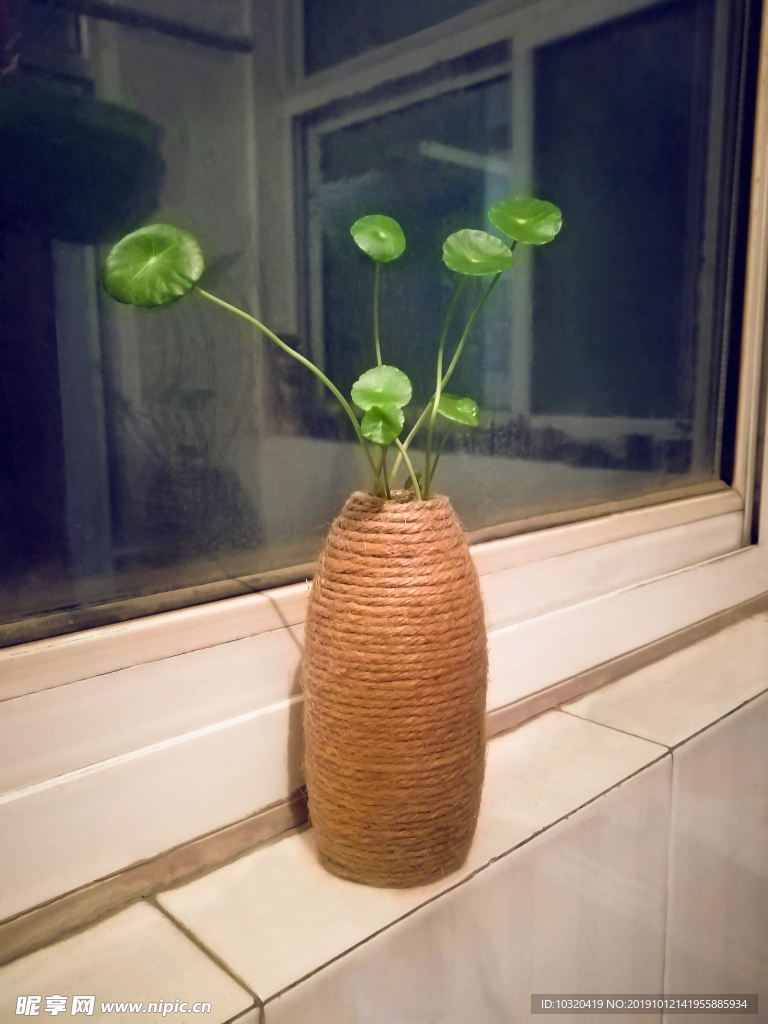 麻绳瓶装铜钱草