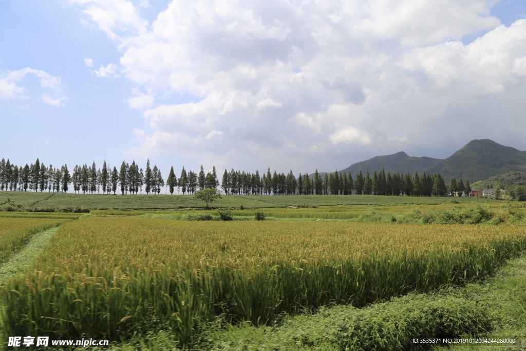莫干山自然风光