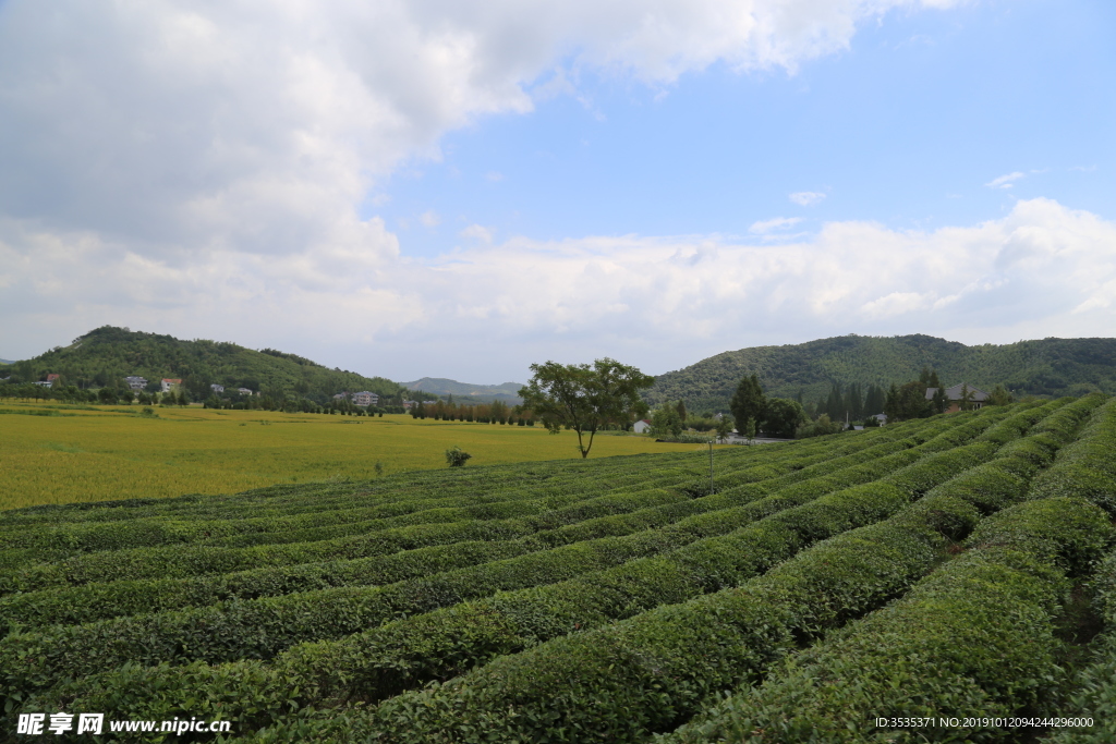 莫干山自然风光