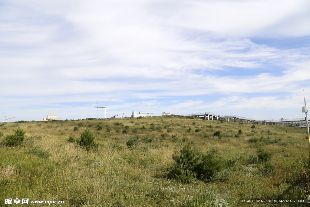 草原 张北 坝上