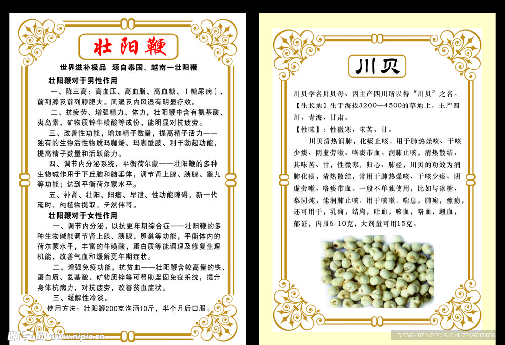 川贝  壮阳鞭简介