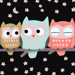 猫头鹰壁纸 抱枕
